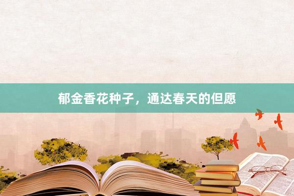 郁金香花种子，通达春天的但愿