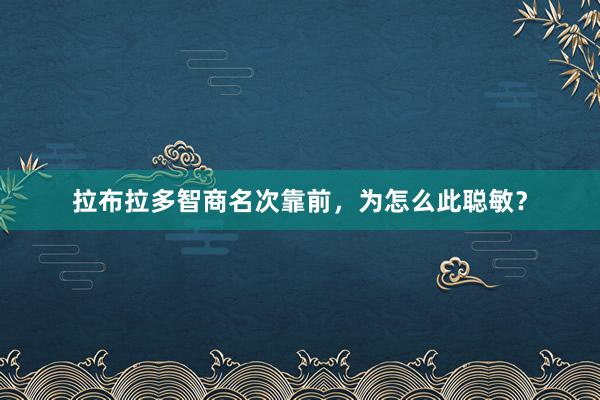 拉布拉多智商名次靠前，为怎么此聪敏？