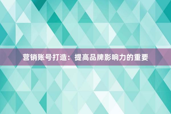 营销账号打造：提高品牌影响力的重要